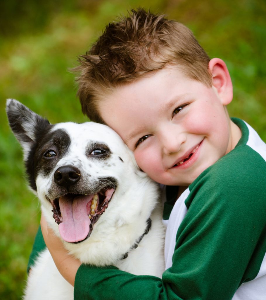 Boys and A Dog Homemaking Homeschooling Tips for Busy Folks