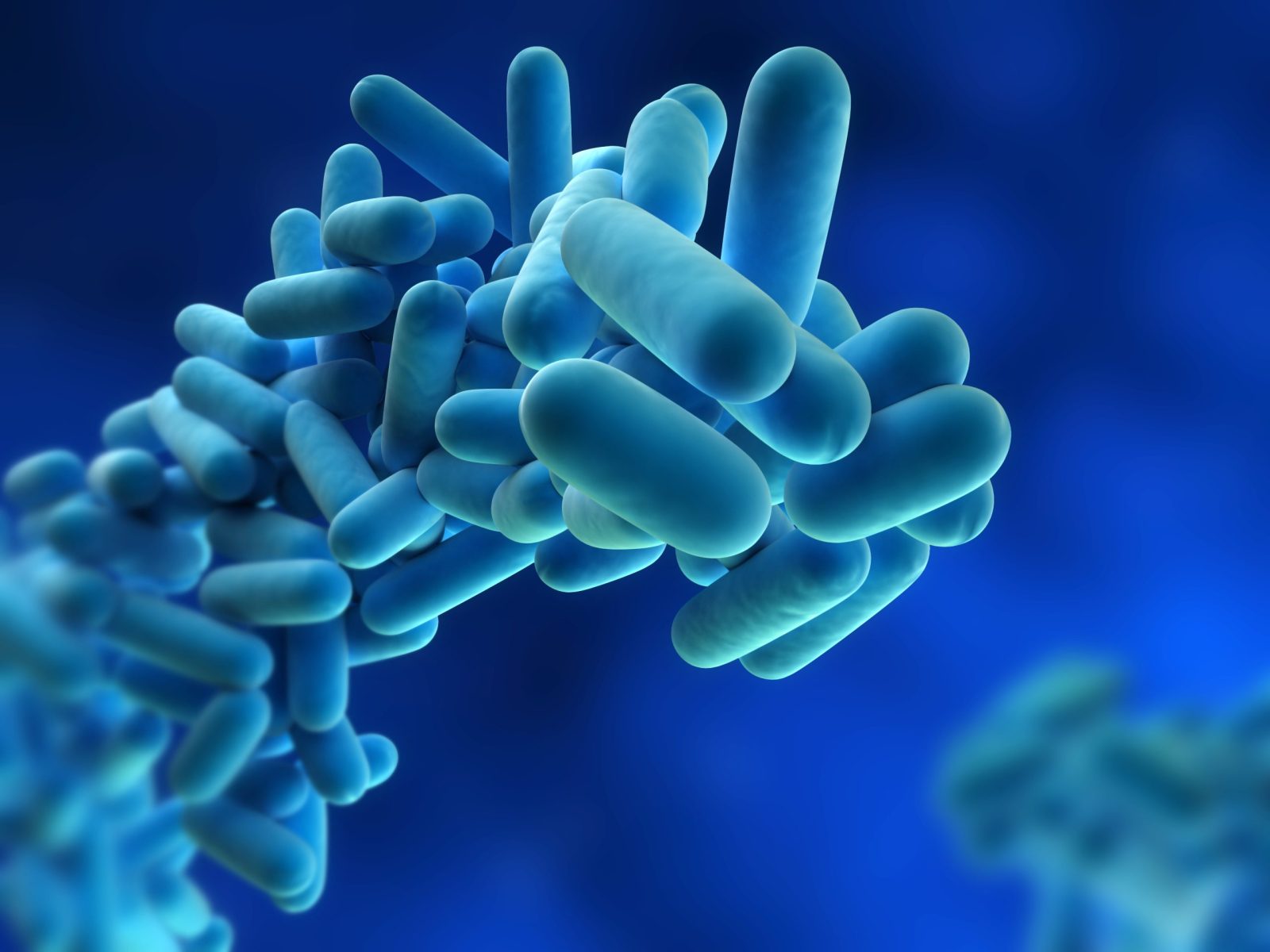 Asbestos Testing in Houston, TX | Asbestos Abatement and Consultation Help in ABLabs Work in Texas