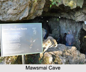 Exploring the Enigmatic Caves of Meghalaya