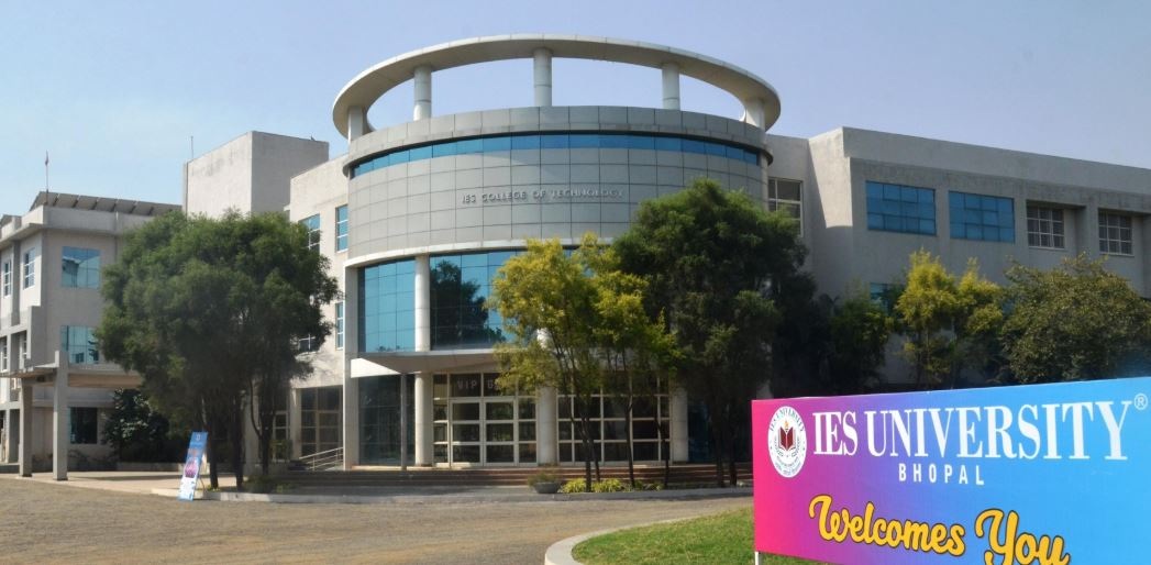 IT Diploma Courses: Everything You Need to Know About College Diploma Programs