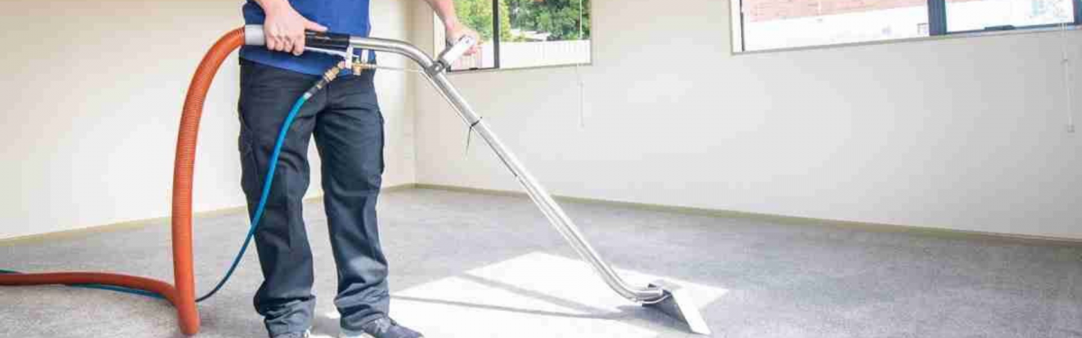 THE BEST CARPET CLEANING COMPANIES IN AUCKLAND