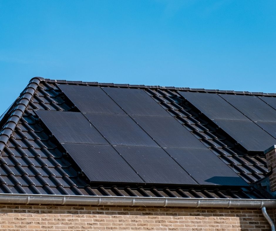 Eco-Power Players: Top Solar Companies in South Florida