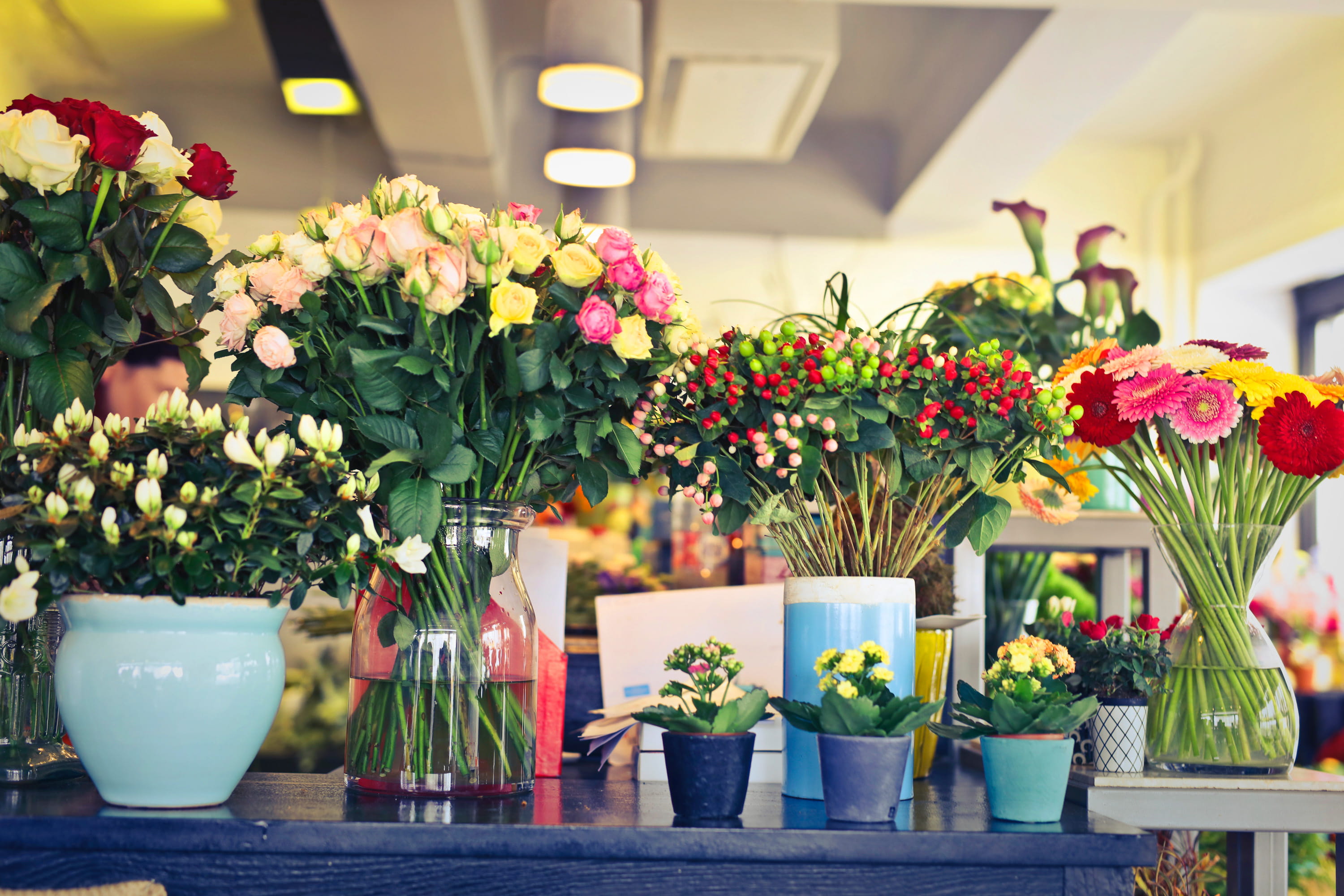 Exploring the Charms of Mystery Box Shops and Gift Box Delights