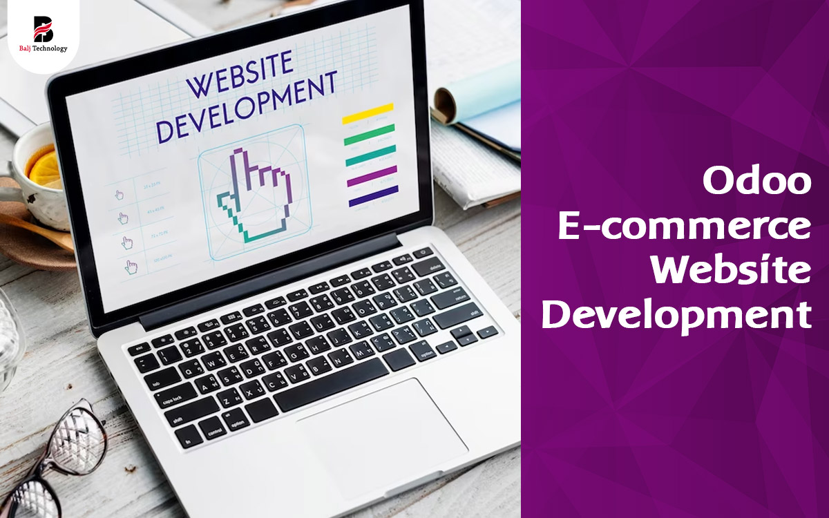  Odoo E-commerce Website Development