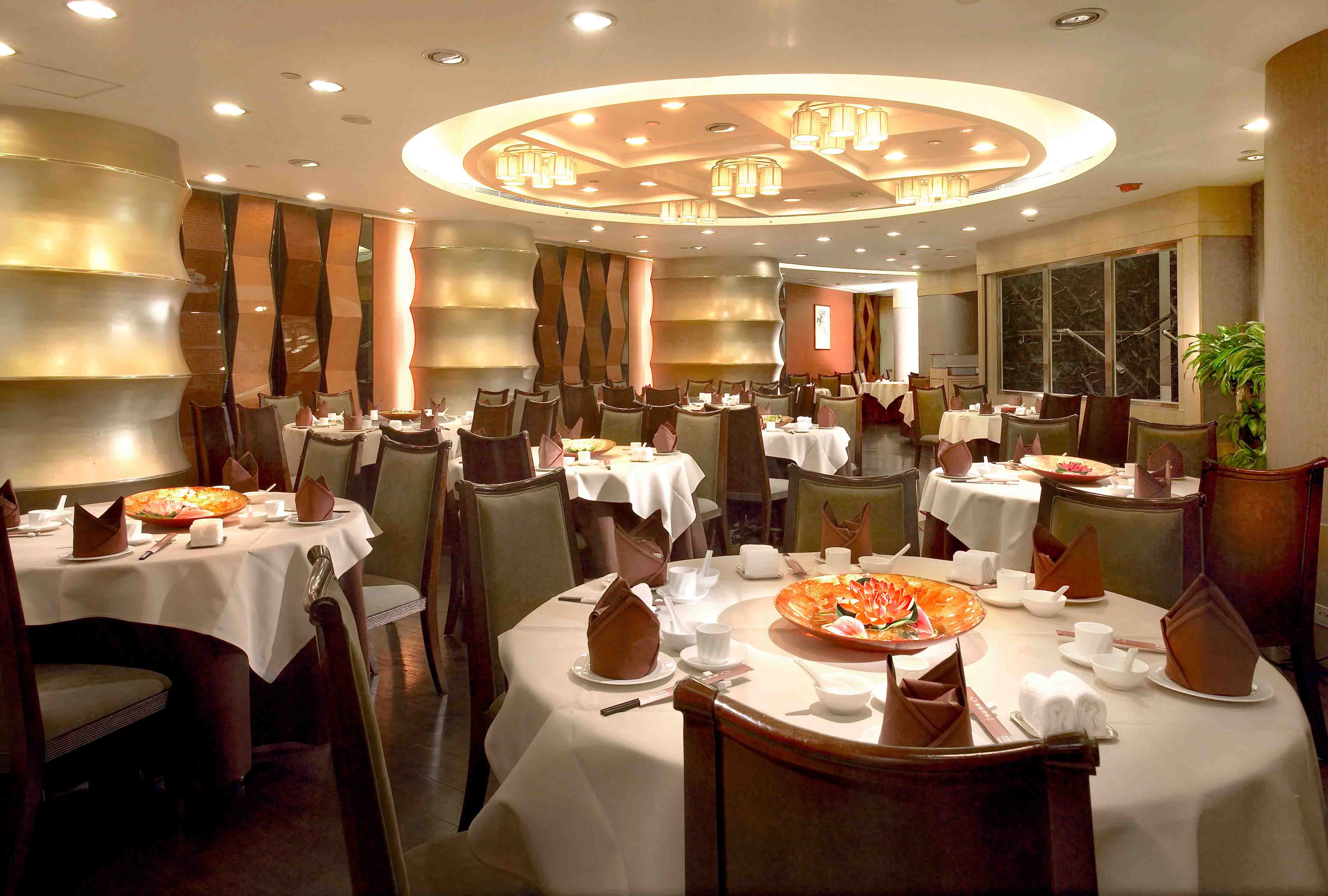Top Reasons to Choose Local Family Restaurants with Outdoor Seating