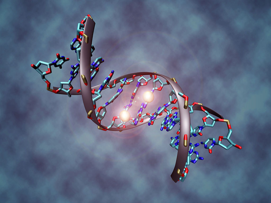 CpG Oligodeoxynucleotide Market Is Driven By Rising Adoption Of CpG ODN In Cancer Immunotherapy