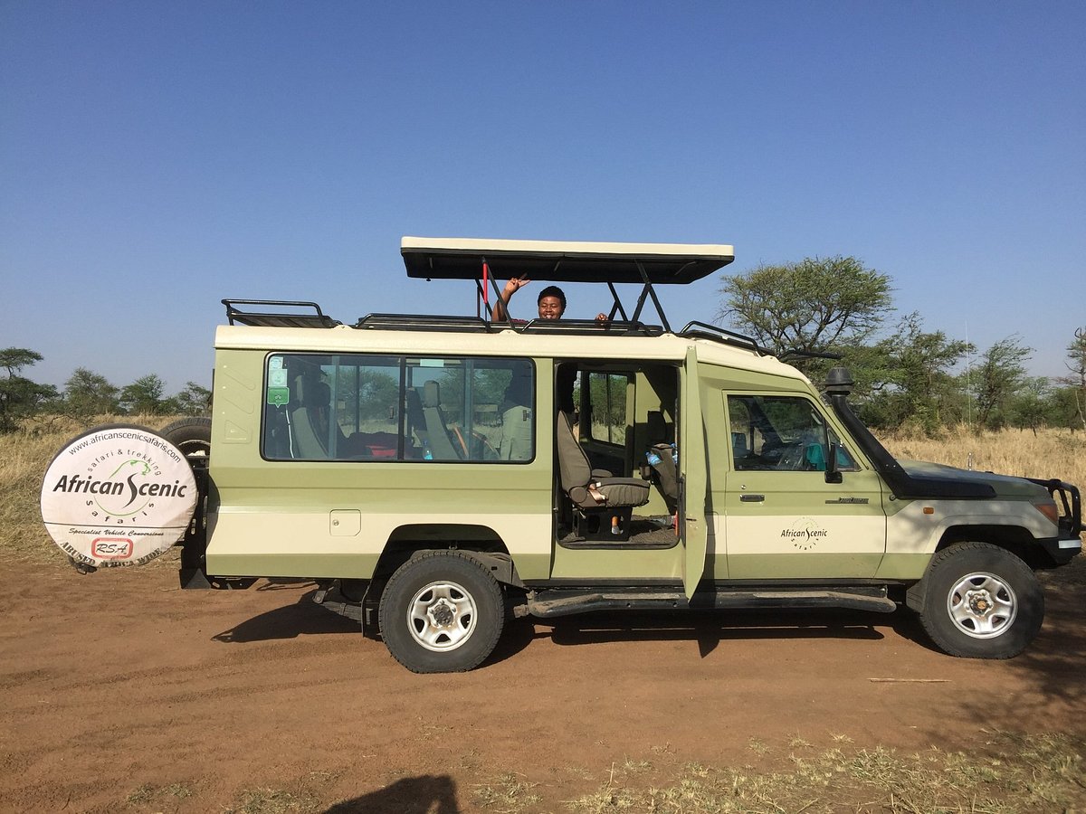 Tanzania Safari Packages: Unearth the Trending Wilderness Escapes