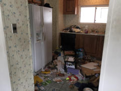 The Importance of Professional Junk Removal Services in Clearwater