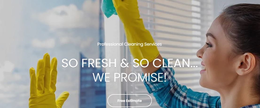Why Should You Hire a Professional Home Cleaner?