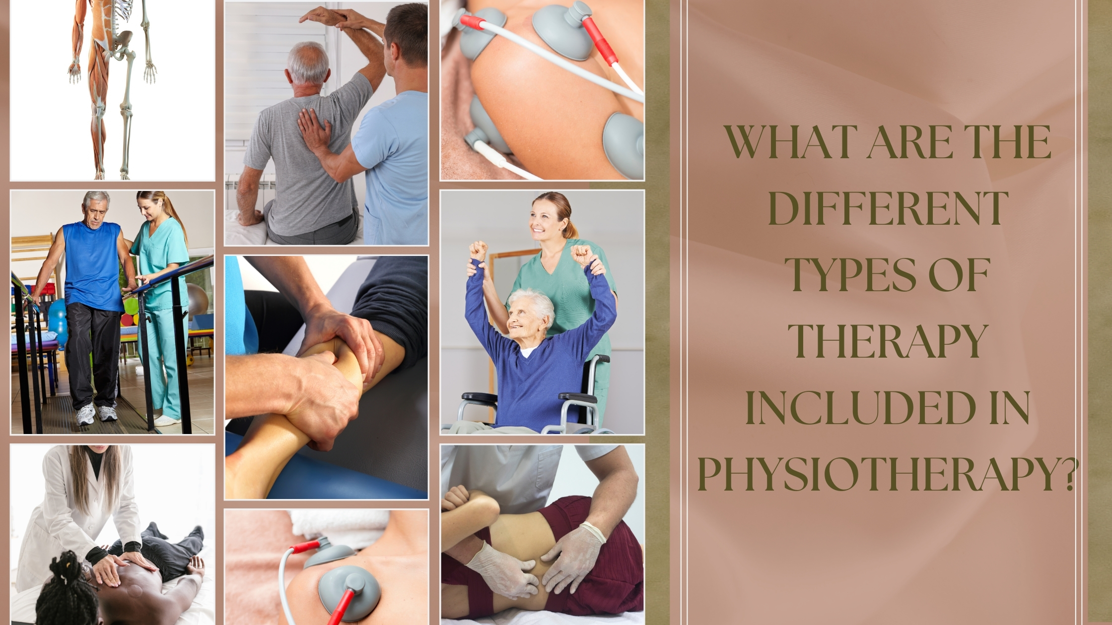 What are the different types of therapy included in physiotherapy?