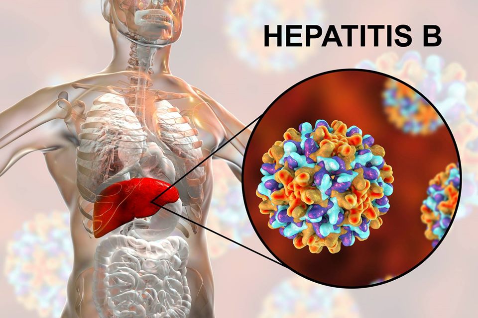 Hepatitis B paid blood, Plasma Donation Program | Access Clinical