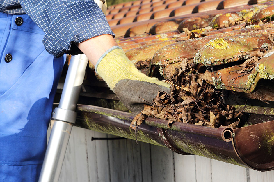 Examining the Pros and Cons: Gutter Cleaning versus Gutter Replacement