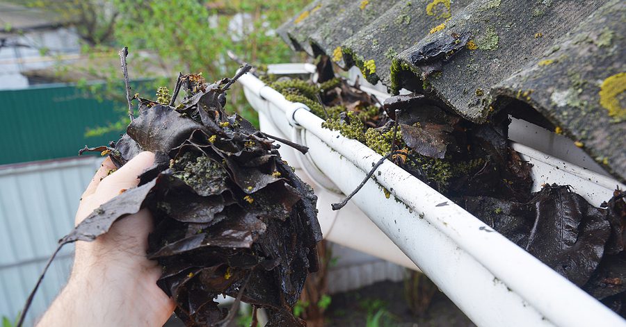 Common Gutter Cleaning Pitfalls and How to Overcome Them