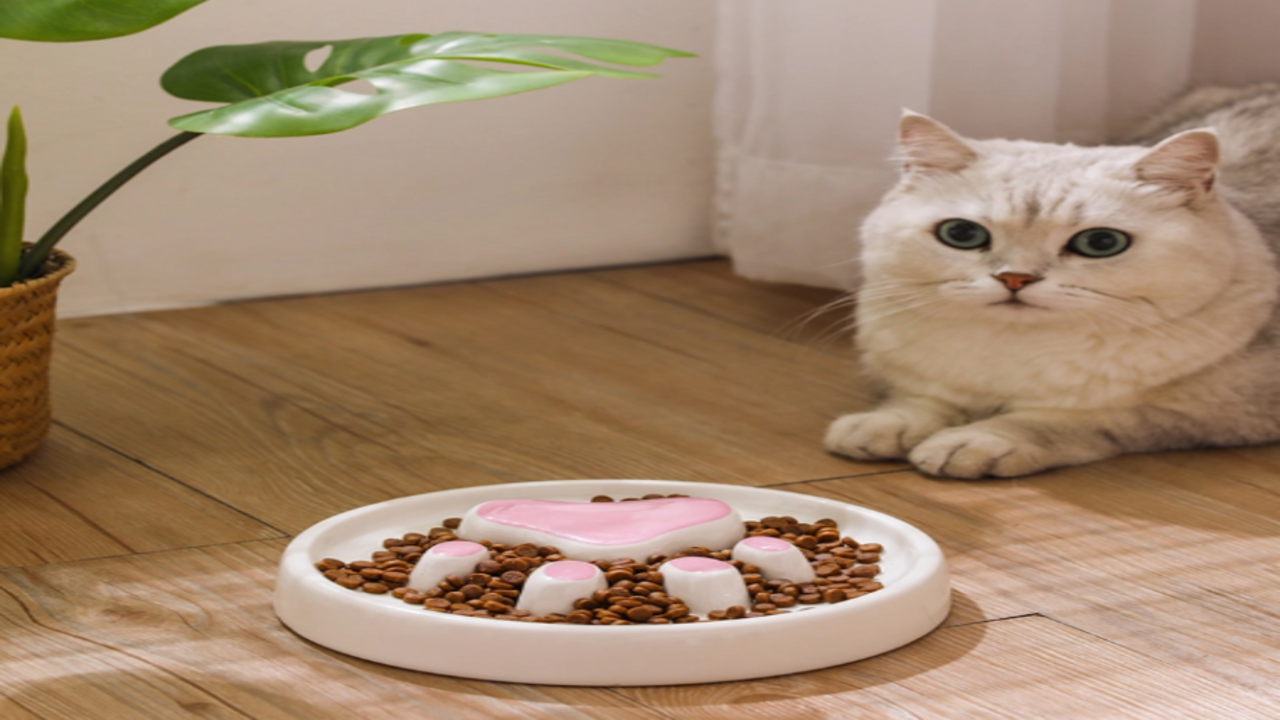 Enhancing Feline Hydration: The Pawoof Cat Water Fountain