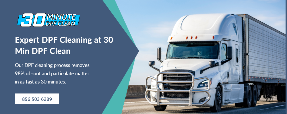 30 Min DPF Clean