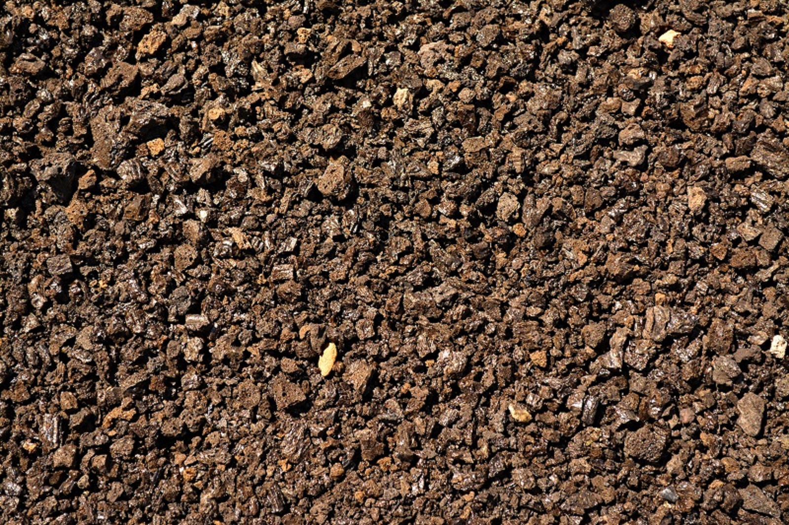 Unlocking the Secrets of Soil Building: A Step-by-Step Guide