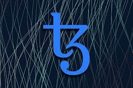 Tezos Nodes: Building Blocks of a Self-Amending Blockchain