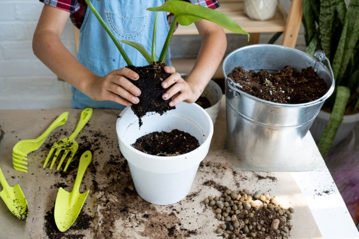 Enhance Your Plant Growth: The Advantages of Potting Soil Mix 