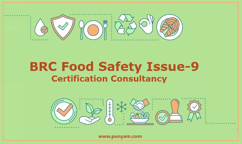 Do you wish to Streamline the BRC Issue-9 Certification Procedure?