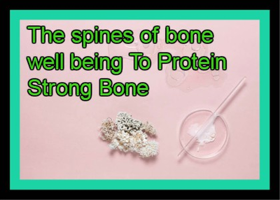 The spines of bone well being To Protein Strong Bone