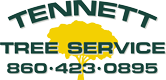 Tree Lifting Companies in CT: Discover the Benefits of Hiring Tennett Tree Services for Your Tree Care Needs