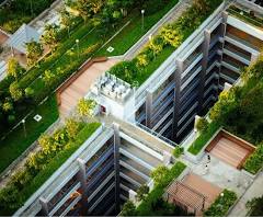 Green Roof Layers: A Clear and Practical Guide