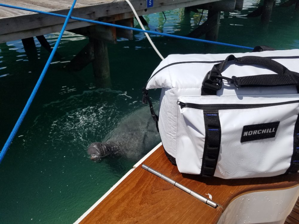 Boat Cooler - Find The Beach Coolers For Your Next Trips