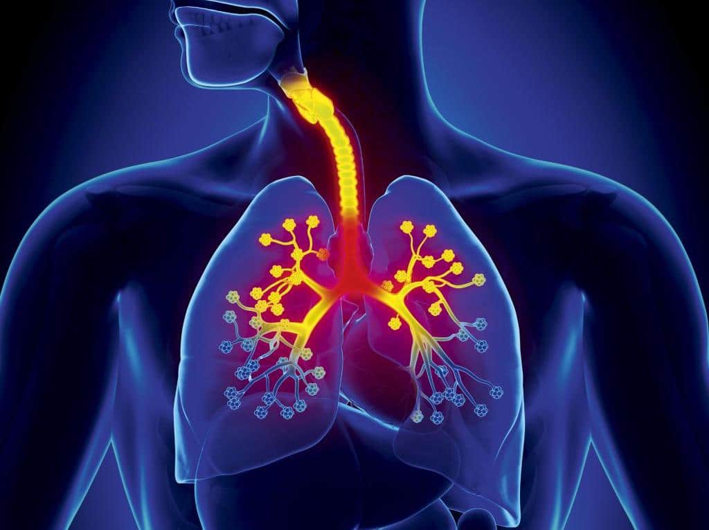 Future Directions: The Evolving Respiratory Tract Infection Treatment Market