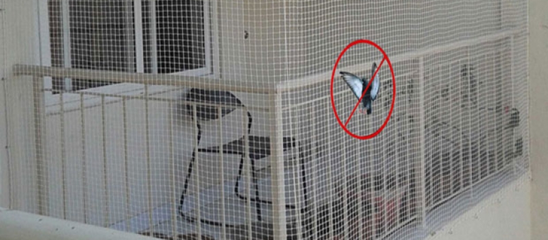 Pigeon safety  Net  In Hyderabad