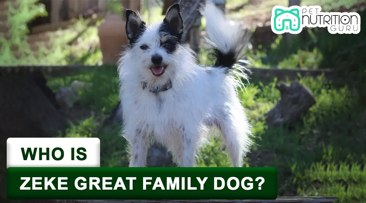 Who is Zeke Great Family Dog? Comprehensive Guide