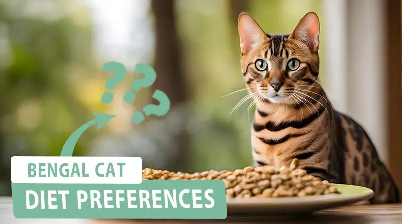 Exploring Bengal Cat Diet Preferences
