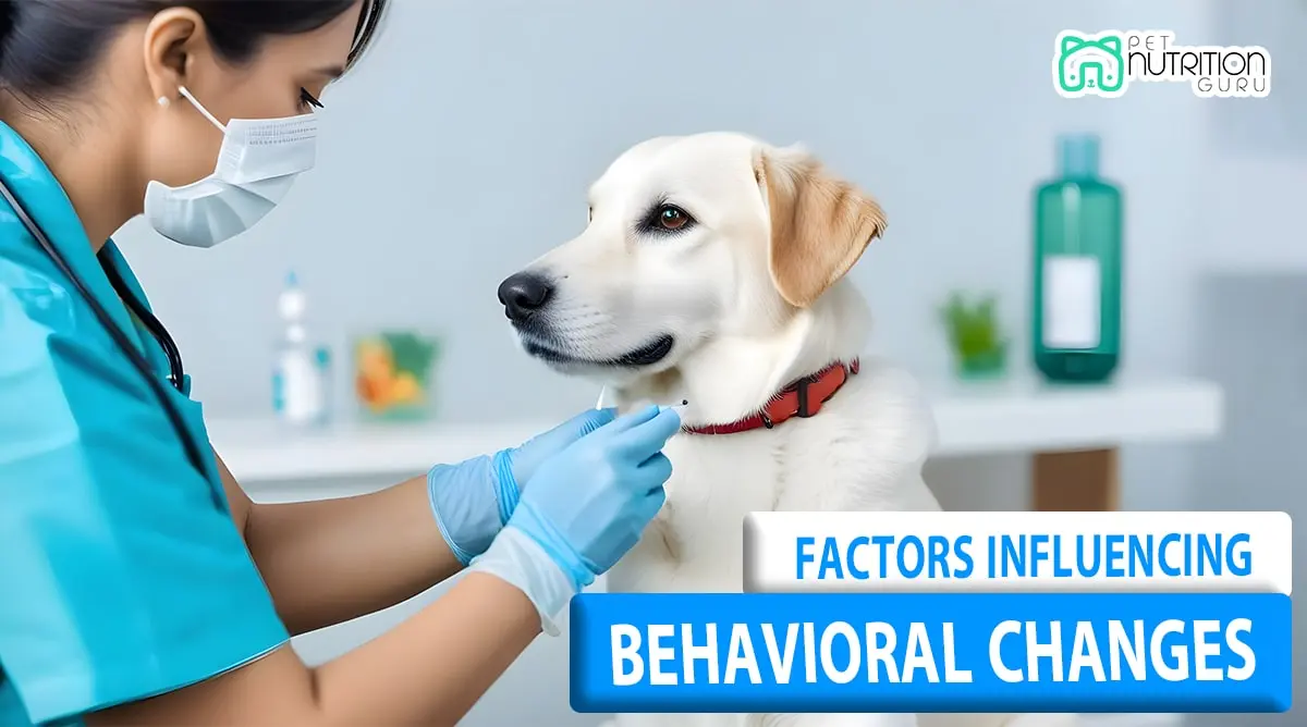 Dog Behavior Change After Vaccination (Possible Causes)