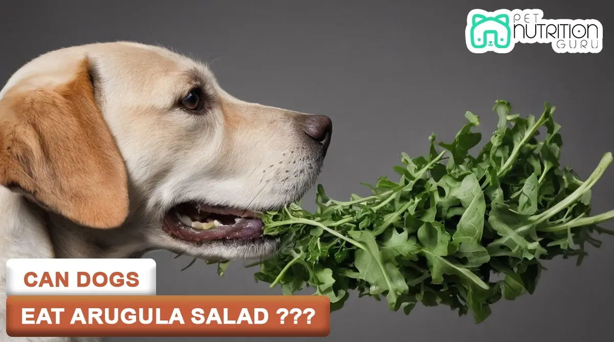 Can Dogs Eat Arugula? Comprehensive Guide