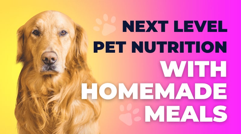 3 Best Chicken Meal for Dog Food in Home