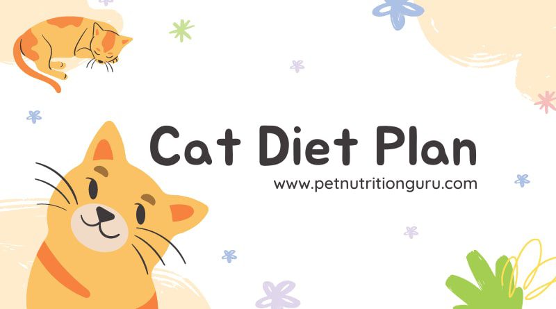 Cat Diet Plan for Weight Loss