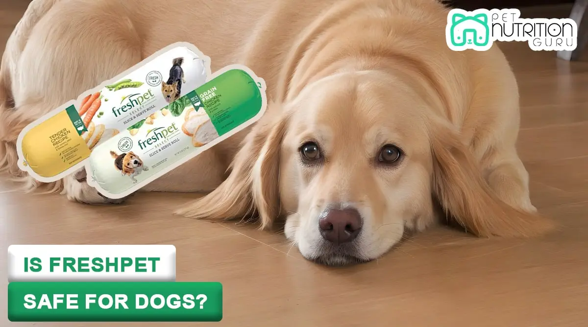 Freshpet Killed My Dog: Unveiling the Truth