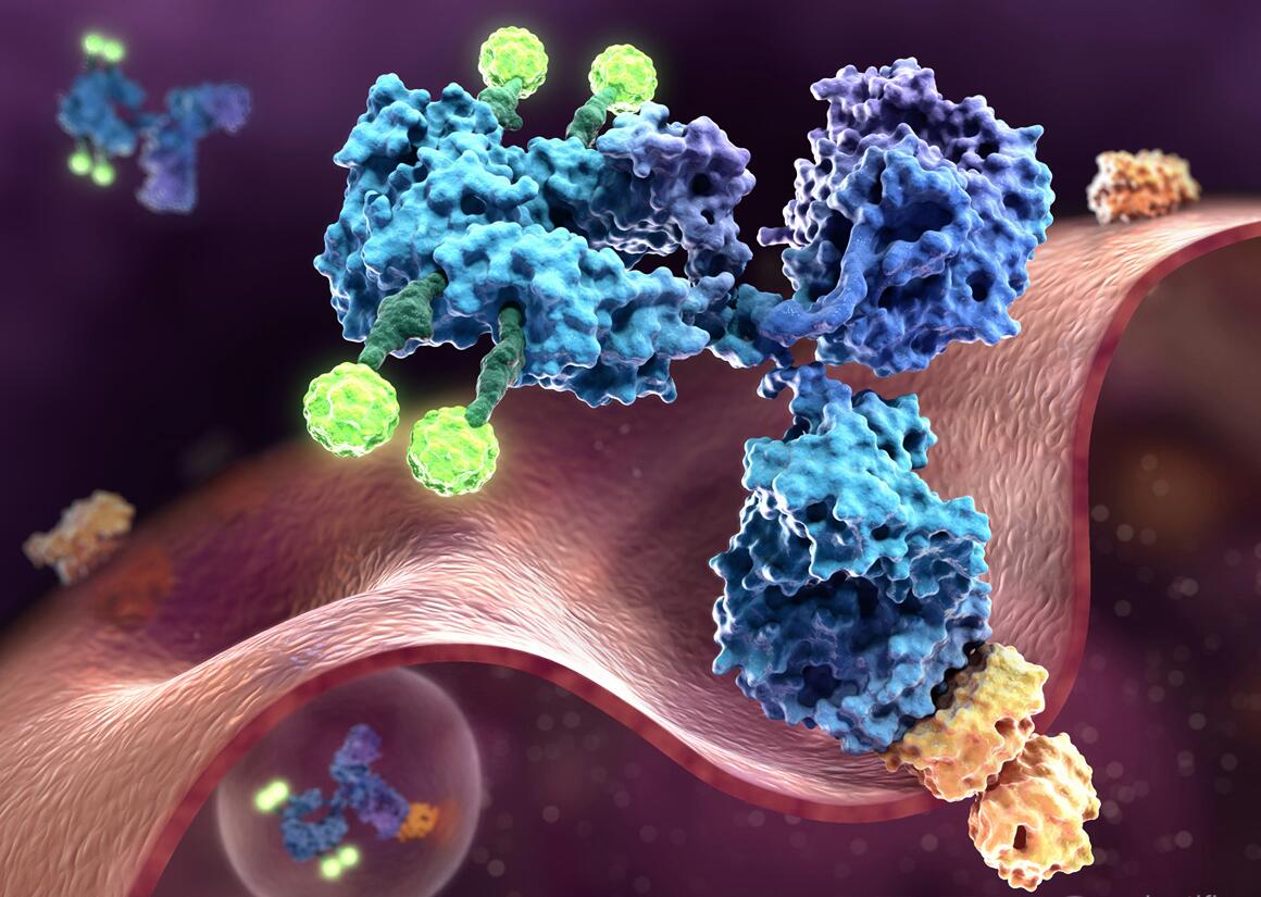 North America Contributes over 40% Share in Global Antibody Drug Conjugates Market