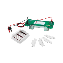 Horizontal Electrophoresis System