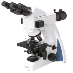 Fluorescence Microscope