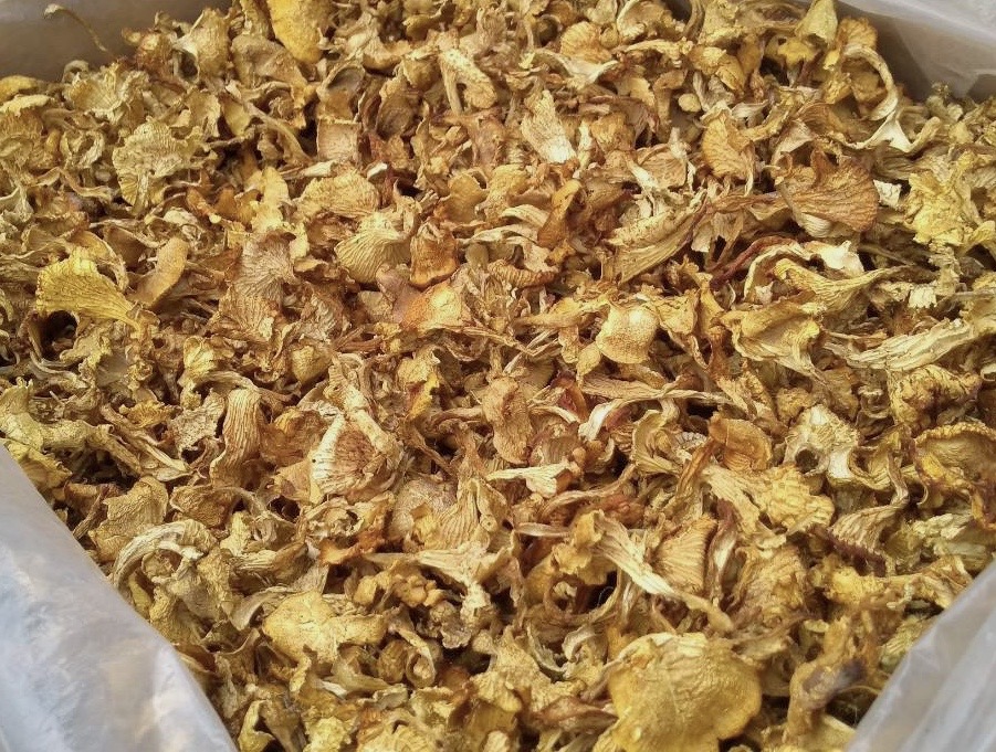 Dried Chanterelle Mushrooms and It’s Health Benefits