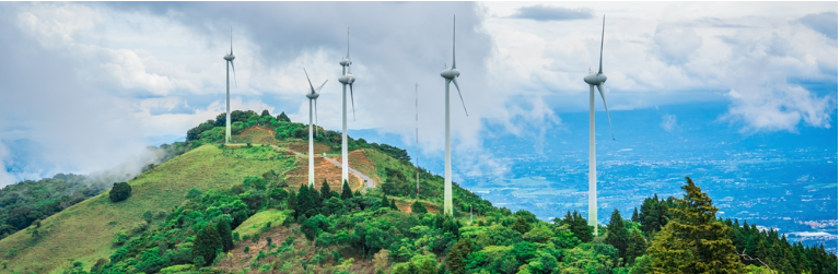 Harnessing Carbon Offsets and Renewable Energy Certificates (RECs) for Authentic Decarbonisation (Buy & Retire)
