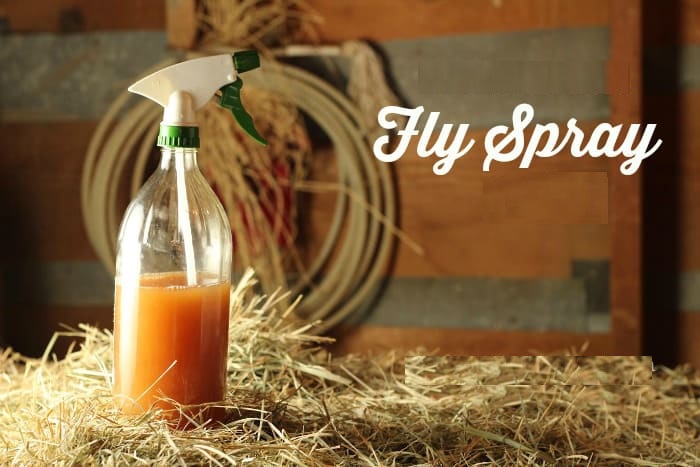 Fly Repellent Market Size, Share, Growth, Opportunities and Global Forecast to 2032