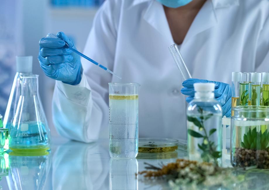 Global Artificial Preservative Market Report, Latest Trends, Industry Opportunity & Forecast to 2032