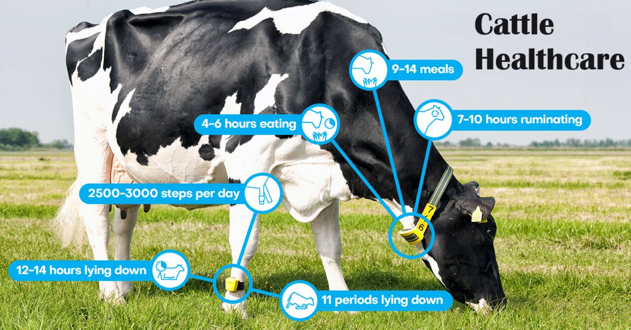 Global Cattle Healthcare Market 2023 - Top Key Players Analysis Report Till 2032