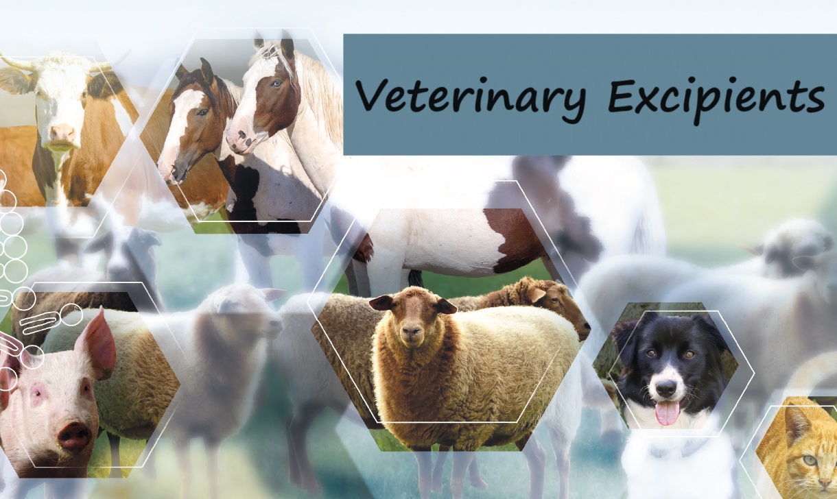 Veterinary Excipients Market | Global Industry Trends, Segmentation, Business Opportunities & Forecast To 2032