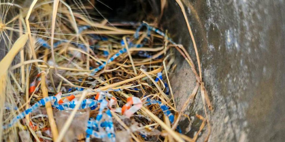 Why Dryer Exhaust Cleaning Helps Keep Your Home Risk-Free