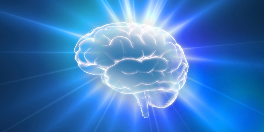 Significance of MTL Psychology in Memory and Learning
