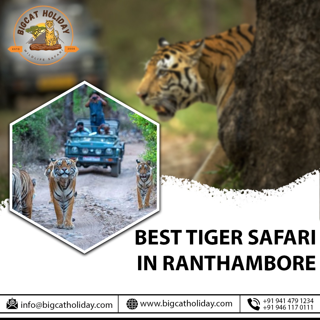 Exploring the Wilderness: The Best Travel Agents in Ranthambore