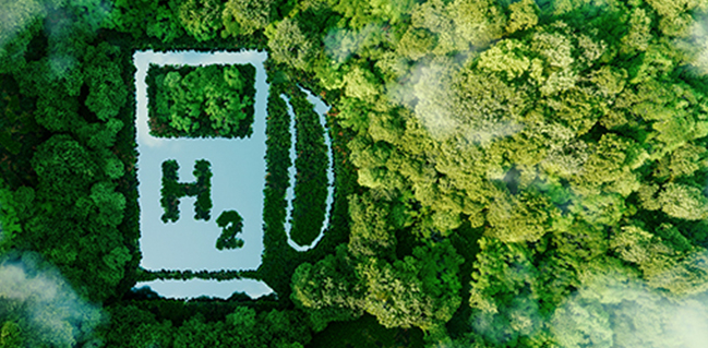 Green Hydrogen Economy