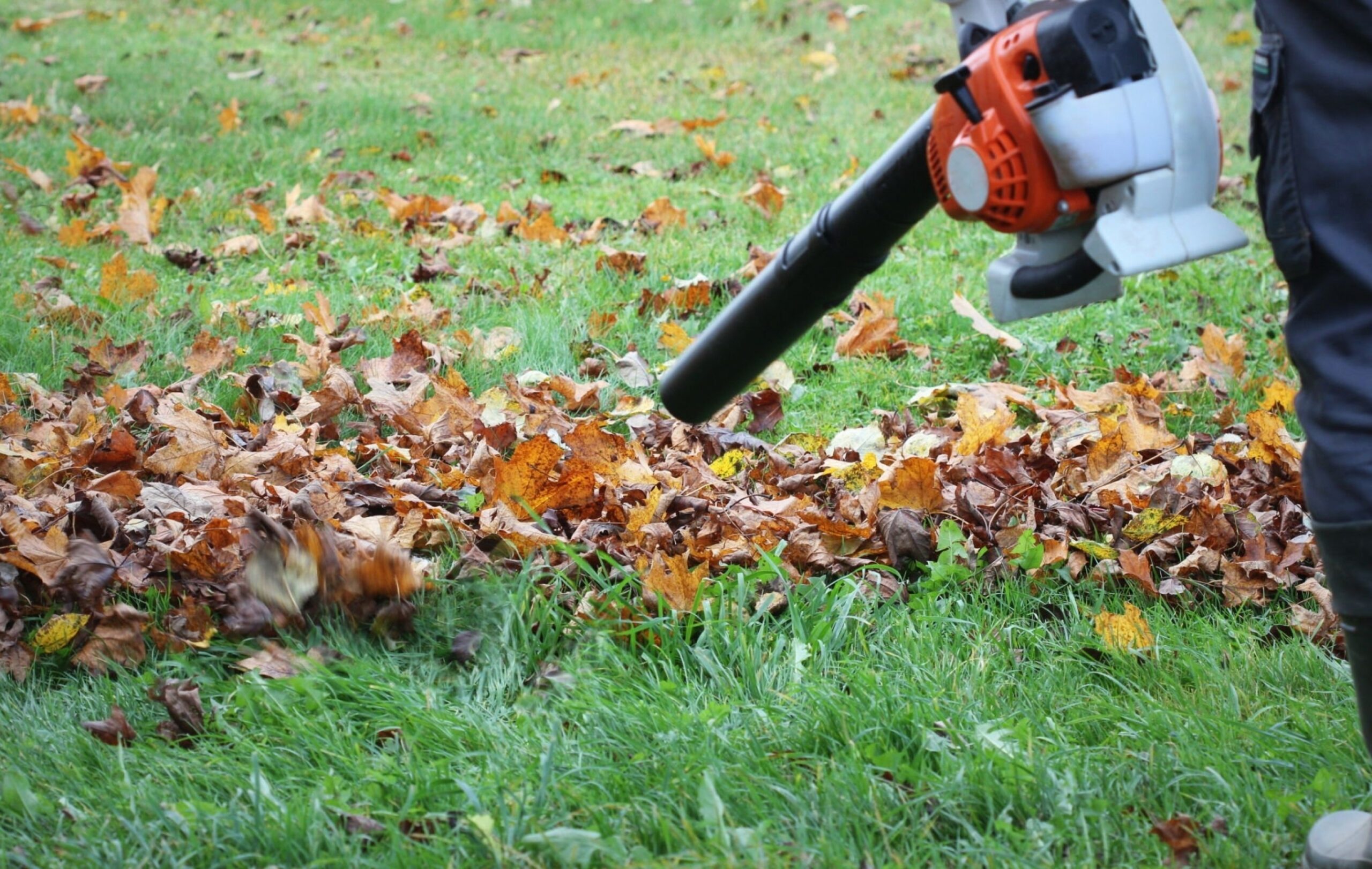 Revamp Your Spaces: Expert Cleaning, Pool Care, and Concierge Services